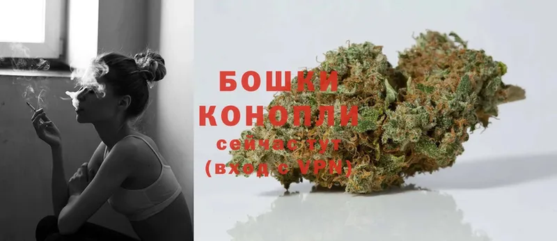 Бошки Шишки White Widow  где найти наркотики  Дальнереченск 